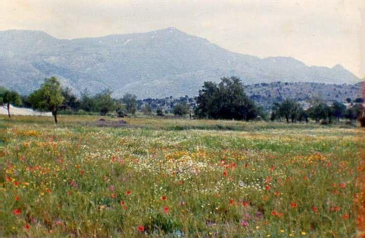 Lasithi meadow, Mt Dikte.jpg