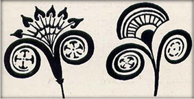 floral types fr Evans 2 477.JPG