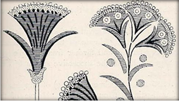 floral types fr Evans 2 477,.JPG