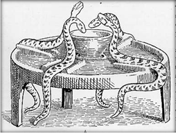 Snake feeding table, Evans Vol 4.jpg
