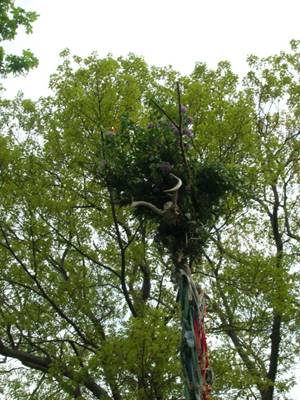 Revels 382, horned Maypole tops.JPG