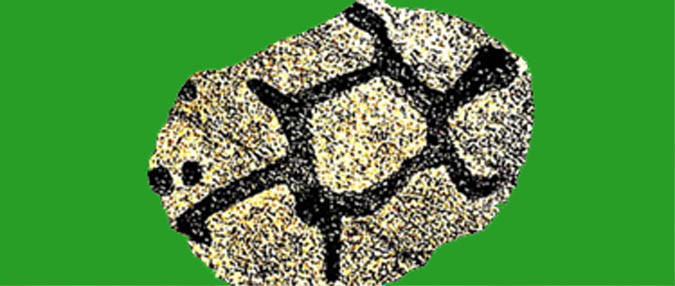 Turtle with Eggs, Algonquian Rock Art.jpg