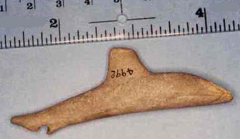 killer whale effigy in antler.JPG